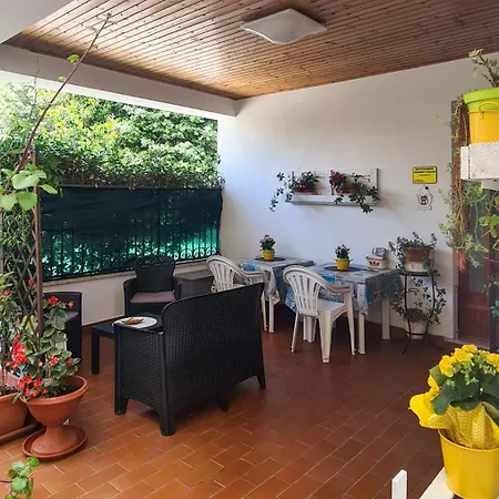 Vacanze A Colori